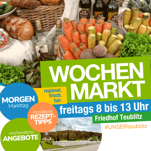 &copy; Thomas Stegerer