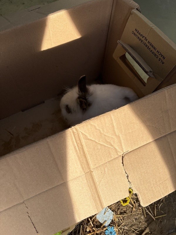 &copy; Bild: Polizeiinspektion Neutraubling