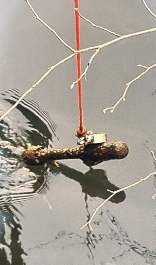 &copy; PI Nittendorf