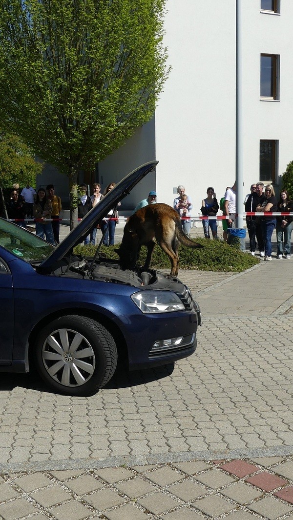 &copy; Bild: Hauptzollamt Regensburg