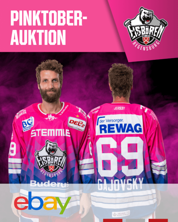 &copy; Bild: Homepage Eisb&auml;ren Regensburg