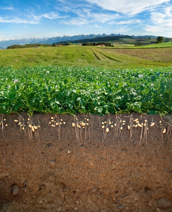 © Agroscope (Gabriela Brändle, Urs Zihlmann), LANAT (Andreas Chervet)