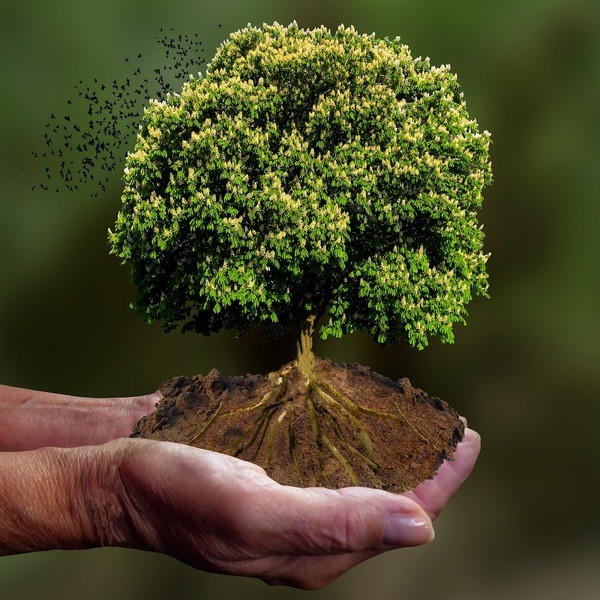 &copy; Symbolbild: pixabay