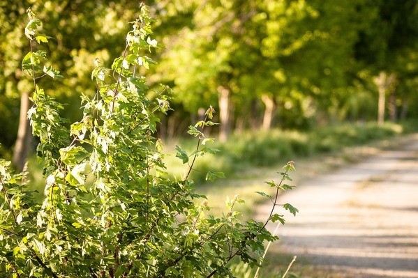 &copy; Symbolbild: pixabay