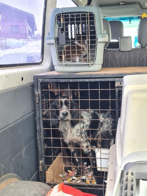 &copy; Polizeiinspektion Furth im Wald