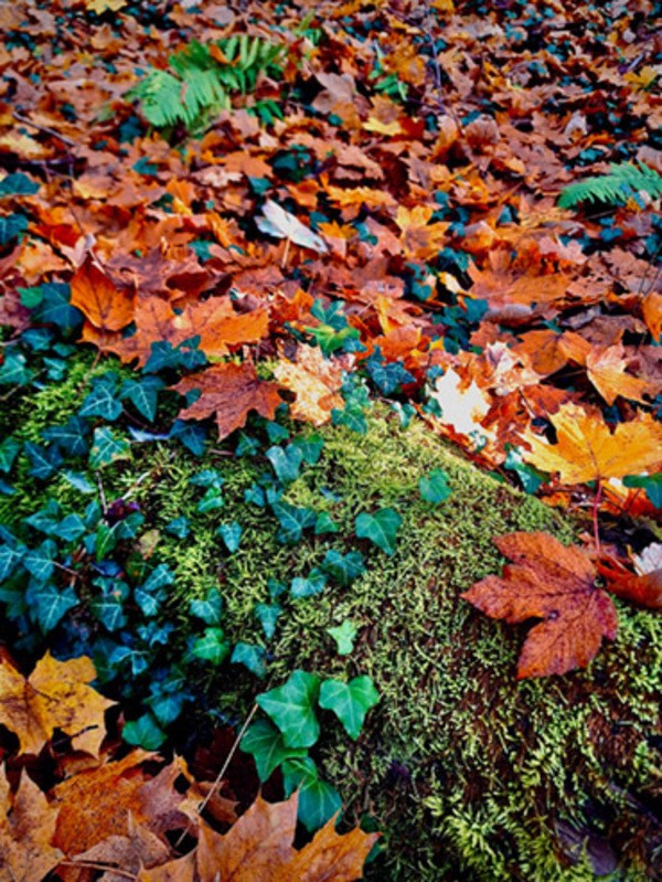 &copy; Umweltministerium