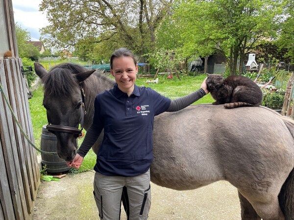 &copy; BRK Erste Hilfe am Pferd