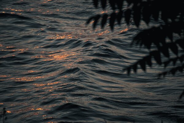 &copy; Symbolbild: pixabay