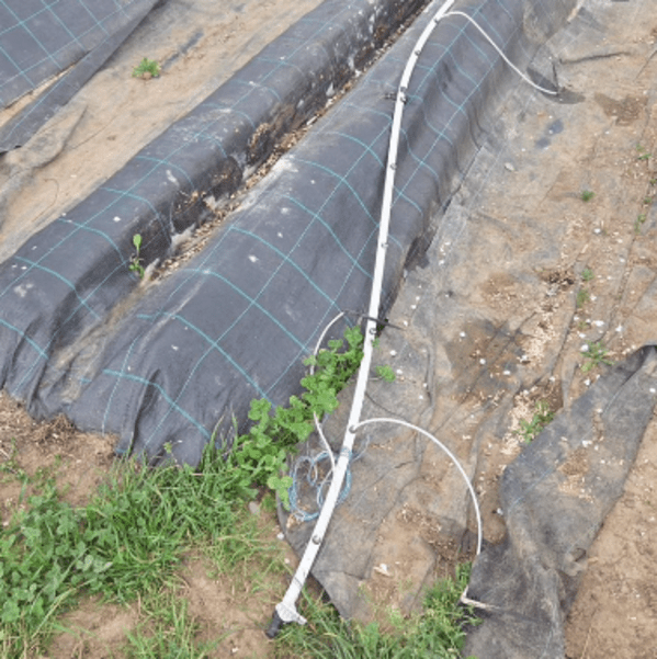 &copy; Screenshot facebook Bl&uuml;melhof