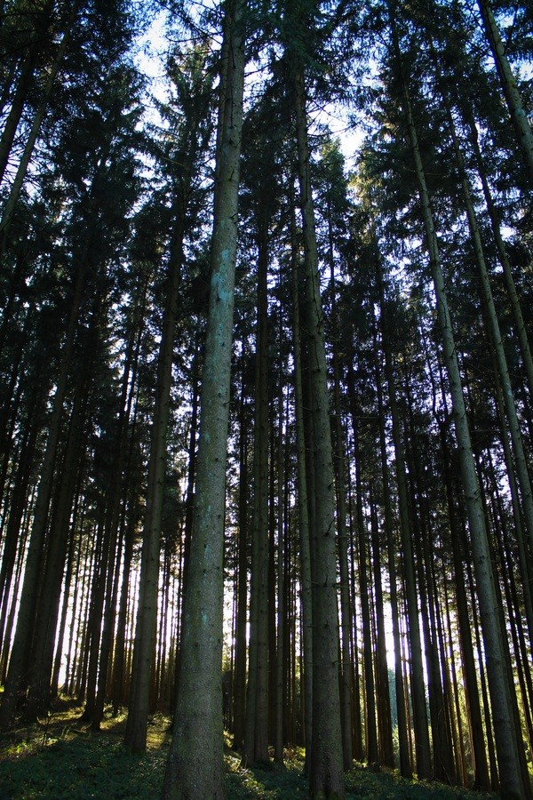 &copy; Symbolbild: pixabay