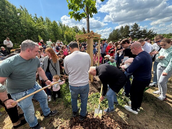 &copy; Bild: Pressestelle Stadt Neutraubling - das Foto zeigt eine der vergangenen Geburtenbaum-Pflanz-Aktionen