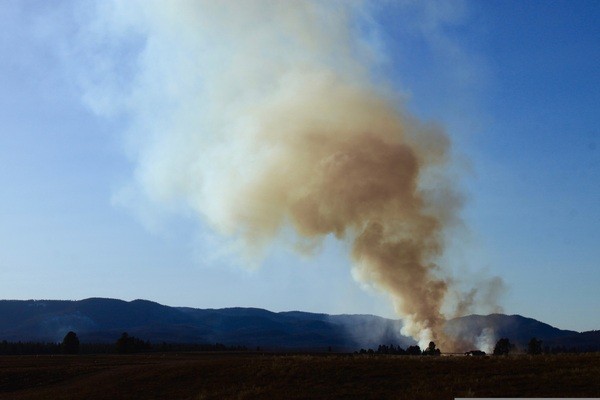 &copy; Symbolbild: pixabay