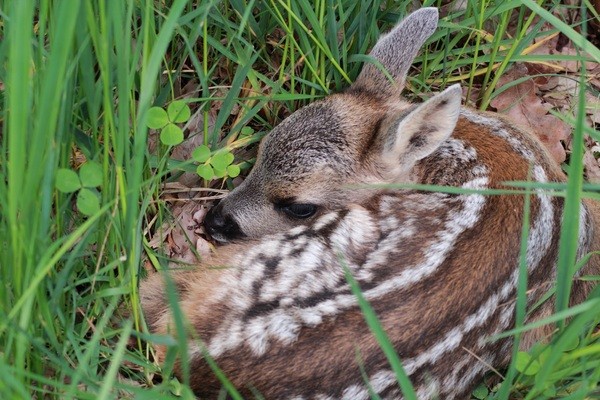 &copy; Symbolbild: pixabay