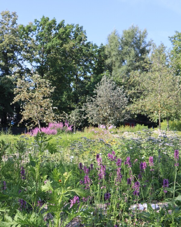 Botanischer Garten Uni Regensburg, &copy; Bild: UR / Lena Knott