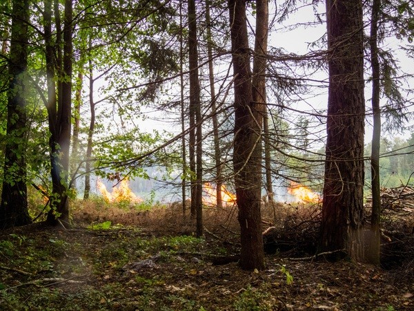 &copy; Symbolbild Waldbrand: pixabay