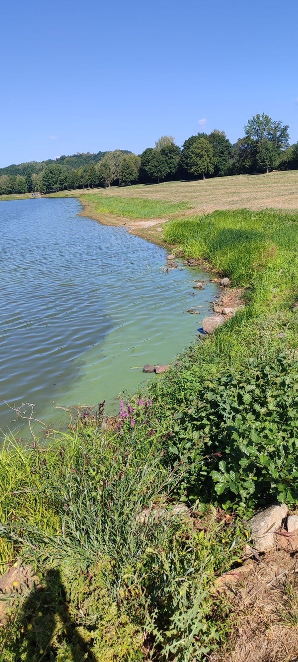 &copy; Satzdorfer See, Pressestelle Landkreis Cham