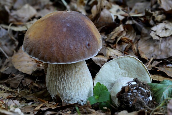 &copy; LBV Zentrum Mensch und Natur
